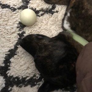 Meet your Posher, Kelcey